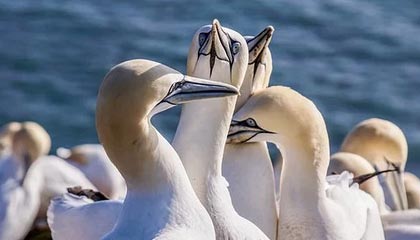 九游体育登录入口-巴拉多利德取得胜利，豪取联赛第二位，巴拉多利德身价