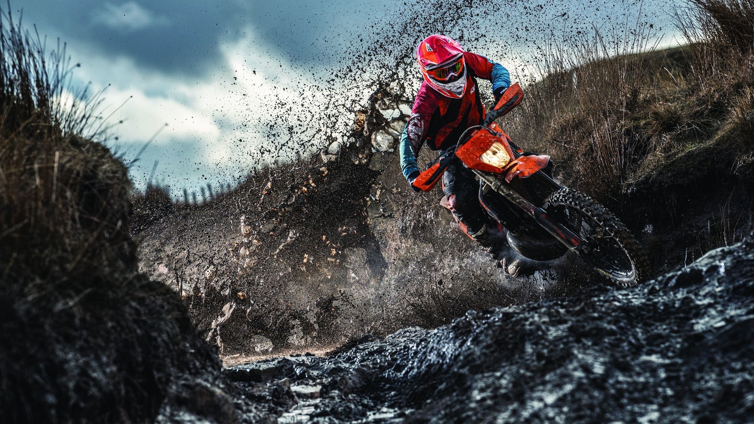 未来“欧洲王者”潜力股大揭秘，欧洲未来预测